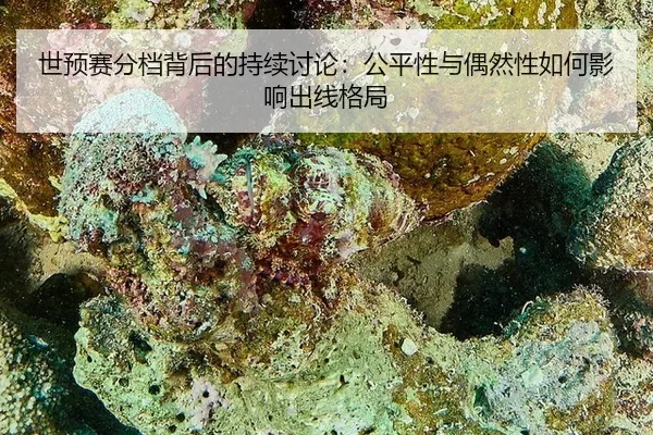 世预赛分档背后的持续讨论：公平性与偶然性如何影响出线格局